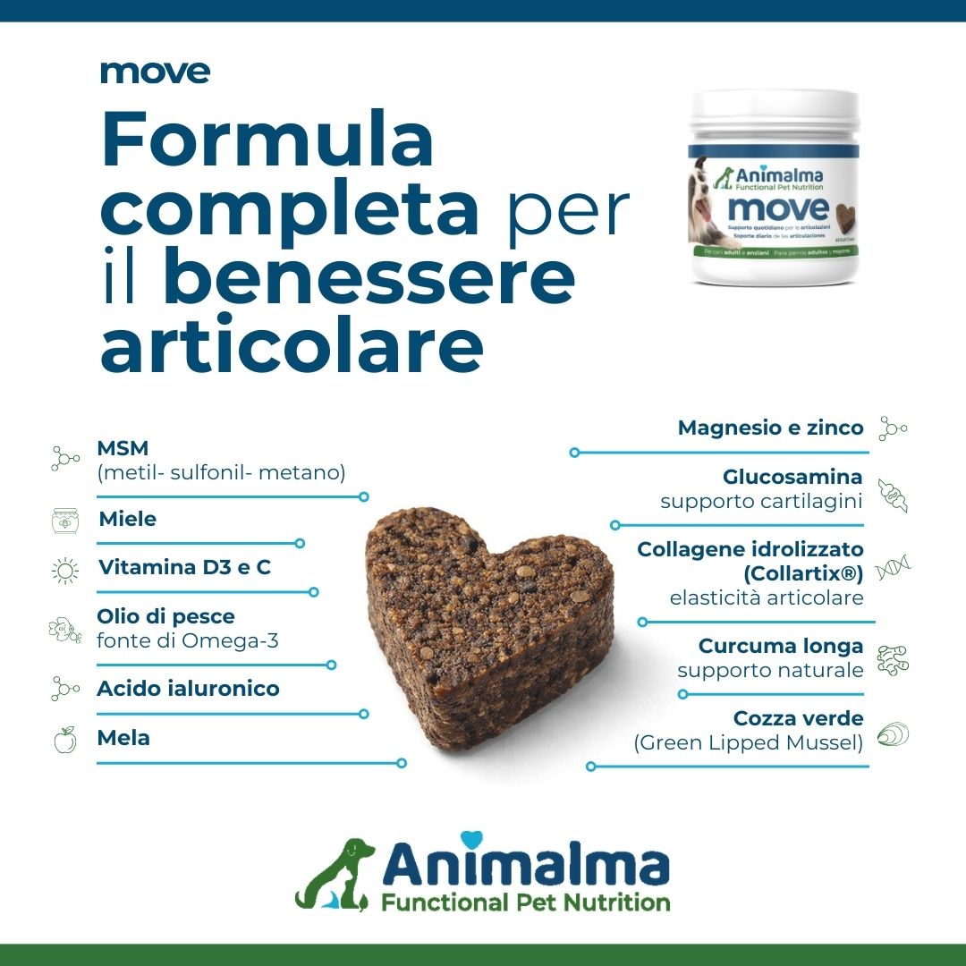 Ingredienti chiave MOVE